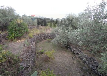 Non correlato - Terreno agricolo Via Timpazza
snc, San Pietro Clarenza - foto 4