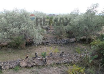 Giardino - Terreno agricolo Via Timpazza
snc, San Pietro Clarenza - foto 7