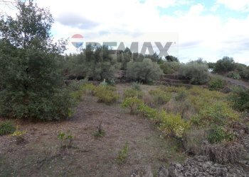 Giardino - Terreno agricolo Via Timpazza
snc, San Pietro Clarenza - foto 9