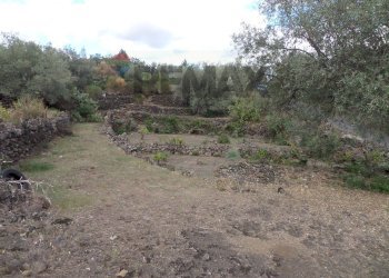 Giardino - Terreno agricolo Via Timpazza
snc, San Pietro Clarenza - foto 11