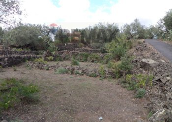 Giardino - Terreno agricolo Via Timpazza
snc, San Pietro Clarenza - foto 13