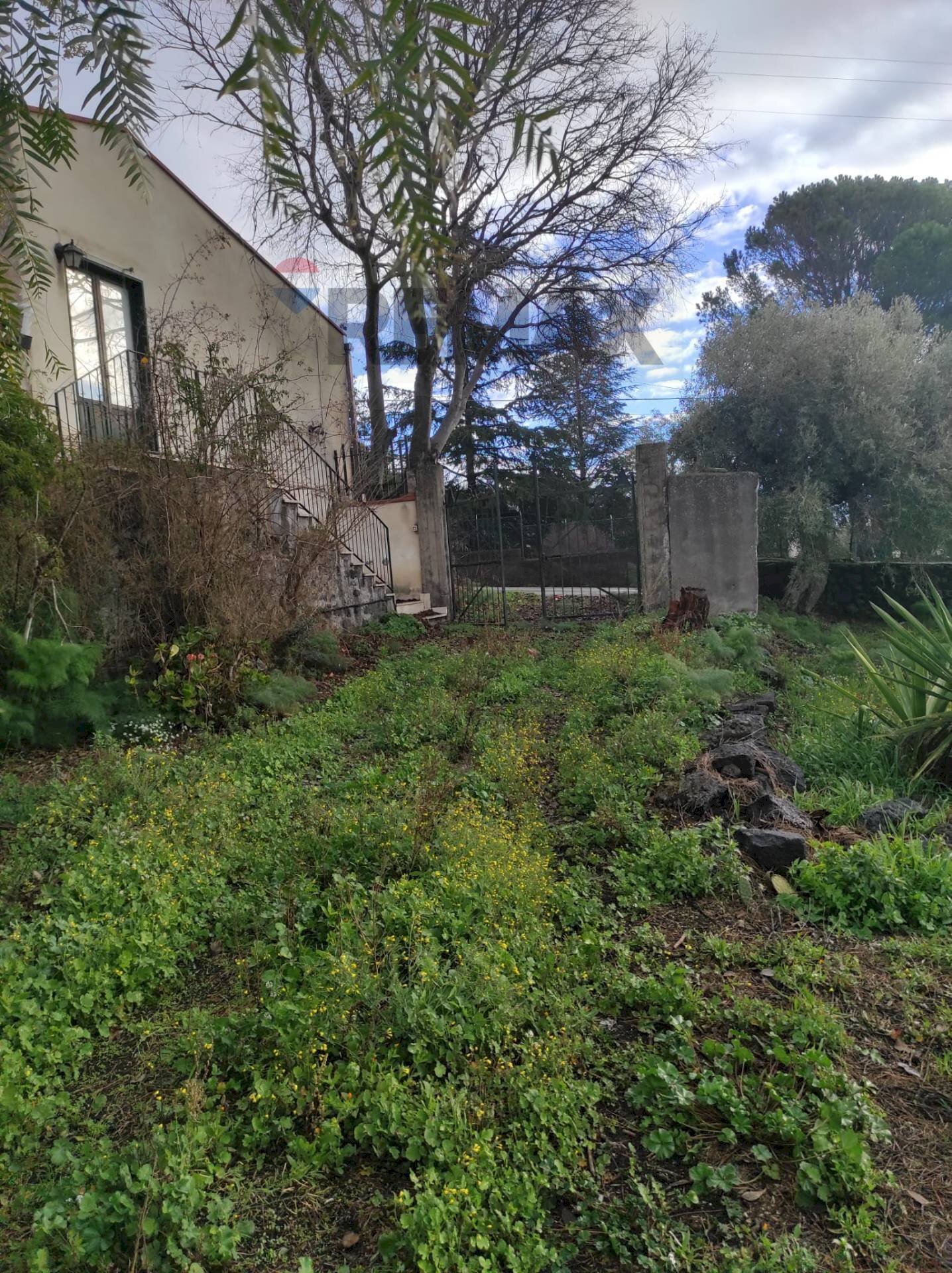 Giardino - Rustic Contrada tre finestre
snc, Belpasso - photo 3