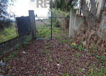 Giardino - Rustic Contrada tre finestre
 
snc, Belpasso - photo 2