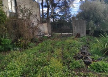 Giardino - Rustic Contrada tre finestre
 
snc, Belpasso - photo 3