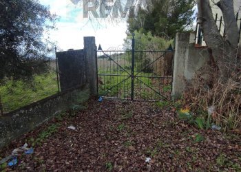 Giardino - Rustic Contrada tre finestre
 
snc, Belpasso - photo 4