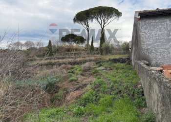 Giardino - Rustic Contrada tre finestre
 
snc, Belpasso - photo 18