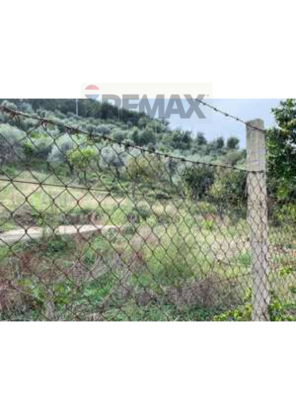 Non correlato - Terreno agricolo C/DA TORRE DEL LAURO
 
SNC, Caronia - foto 1