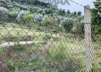 Non correlato - Terreno agricolo C/DA TORRE DEL LAURO
 
SNC, Caronia - foto 2