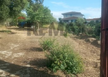 Giardino - Terreno edificabile via Matteotti
76, Ollastra - foto 1