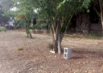 Giardino - Terreno edificabile via Matteotti
76, Ollastra - foto 2