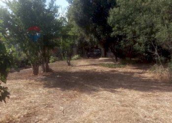 Giardino - Terreno edificabile via Matteotti
76, Ollastra - foto 5