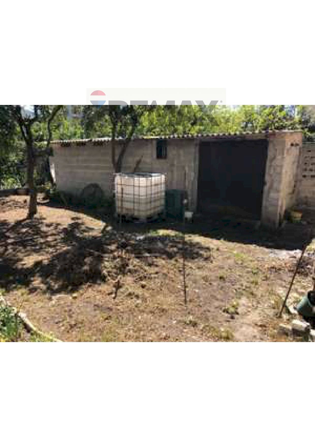 Giardino - Casa indipendente VIA TORRECANDELE
52, Sant'Agata di Militello - foto 2