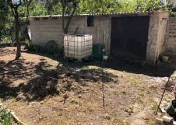 Giardino - Casa indipendente VIA TORRECANDELE
 
52, Sant'Agata di Militello - foto 2