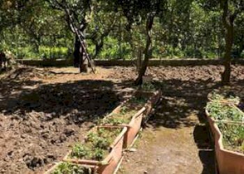 Giardino - Casa indipendente VIA TORRECANDELE
 
52, Sant'Agata di Militello - foto 4