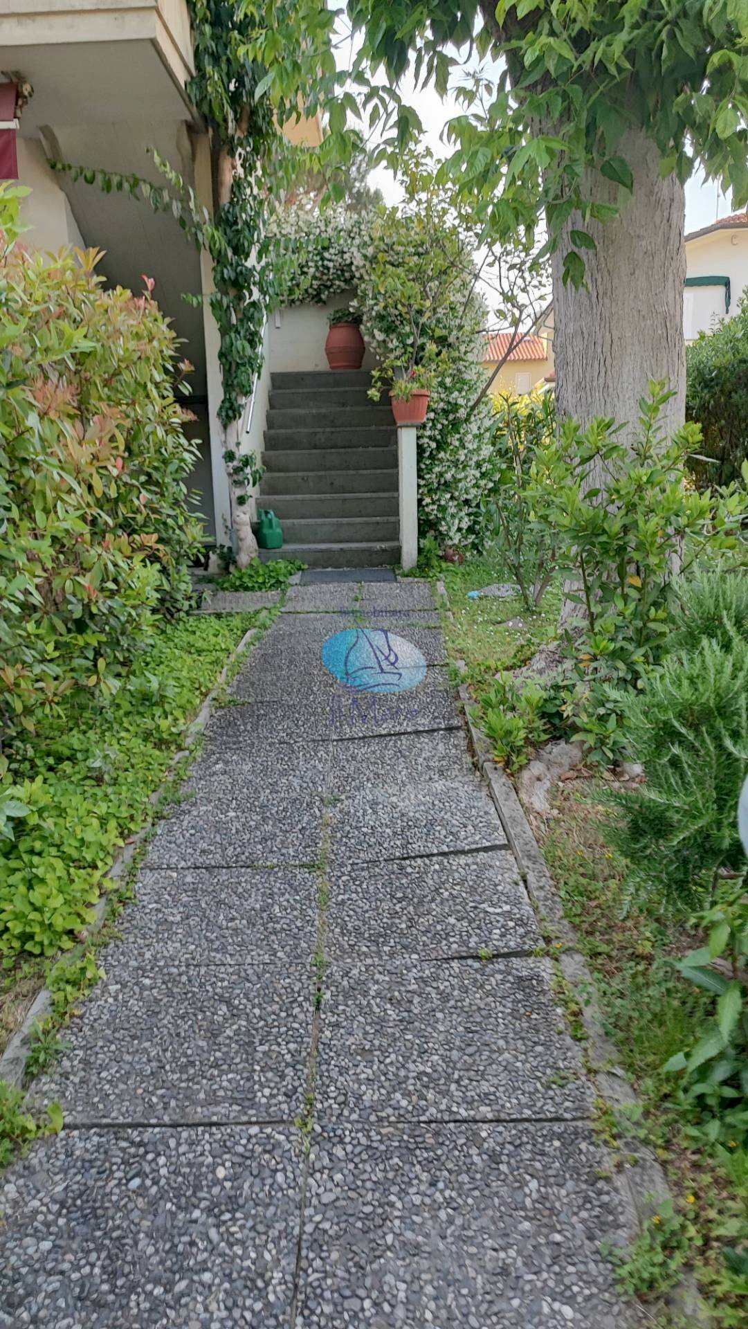 Foto 3 - Casa indipendente VIA BUONARROTI, Camaiore - foto 3