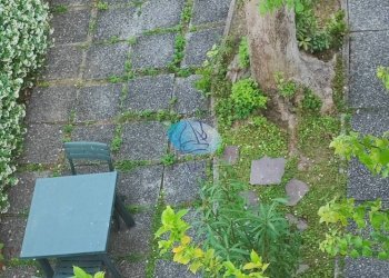 Foto 48 - Casa indipendente VIA BUONARROTI, Camaiore - foto 48