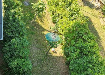Foto 49 - Casa indipendente VIA BUONARROTI, Camaiore - foto 49