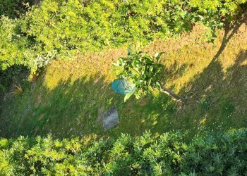 Foto 50 - Casa indipendente VIA BUONARROTI, Camaiore - foto 50