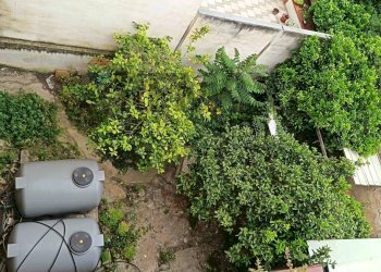 Giardino - Independent house Via Vespri
 
313, Valderice - photo 11