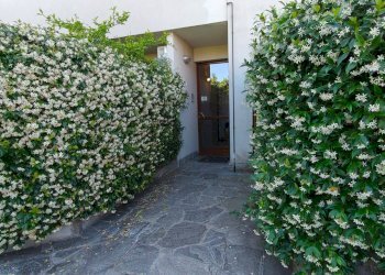 Foto 3 - Two-room apartment Via Rione Cattaneo Inferiore
 
5B, Carnago - photo 3
