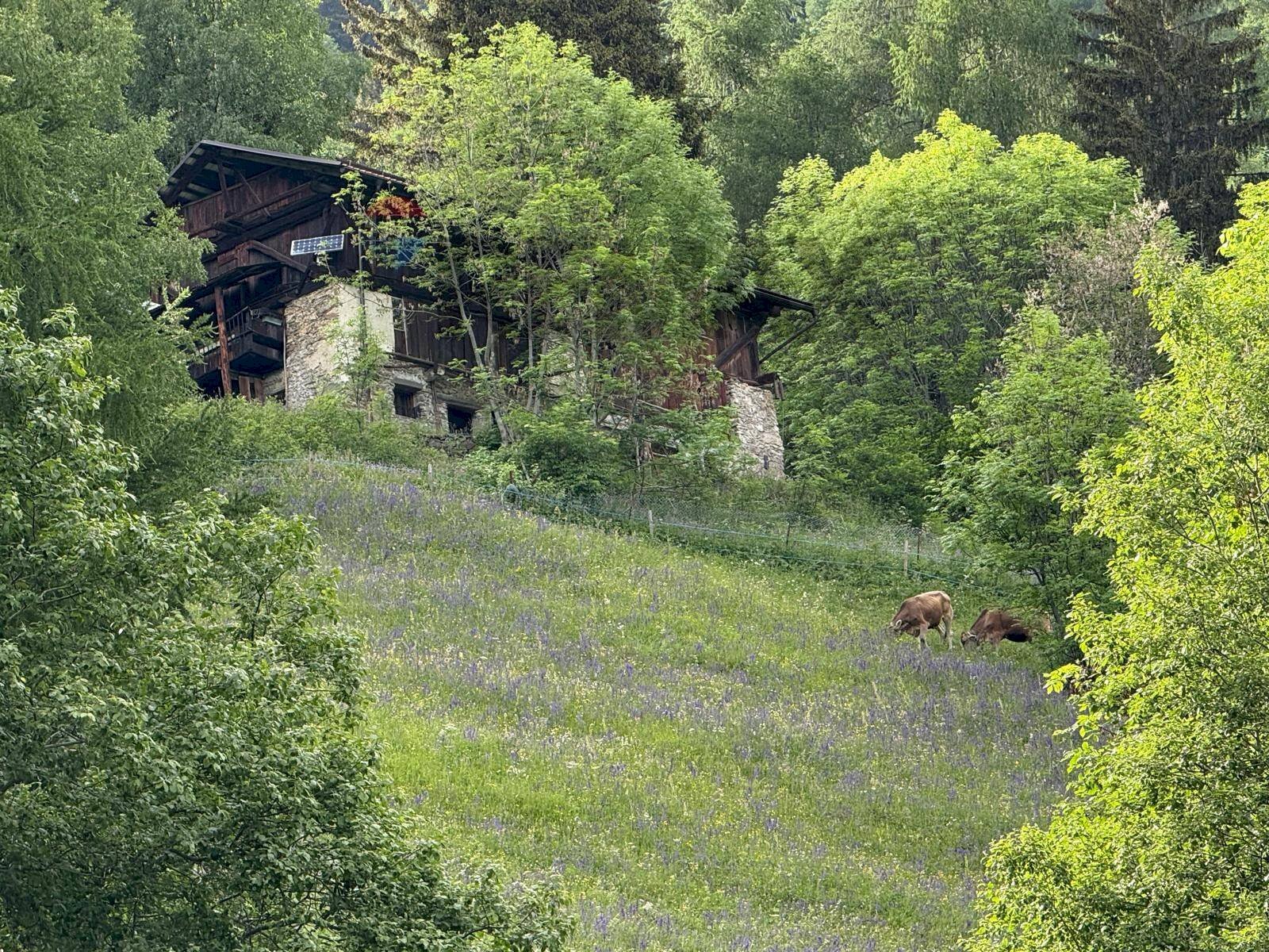 Giardino - Rustic val Comasine
 
1, Peio - photo 1