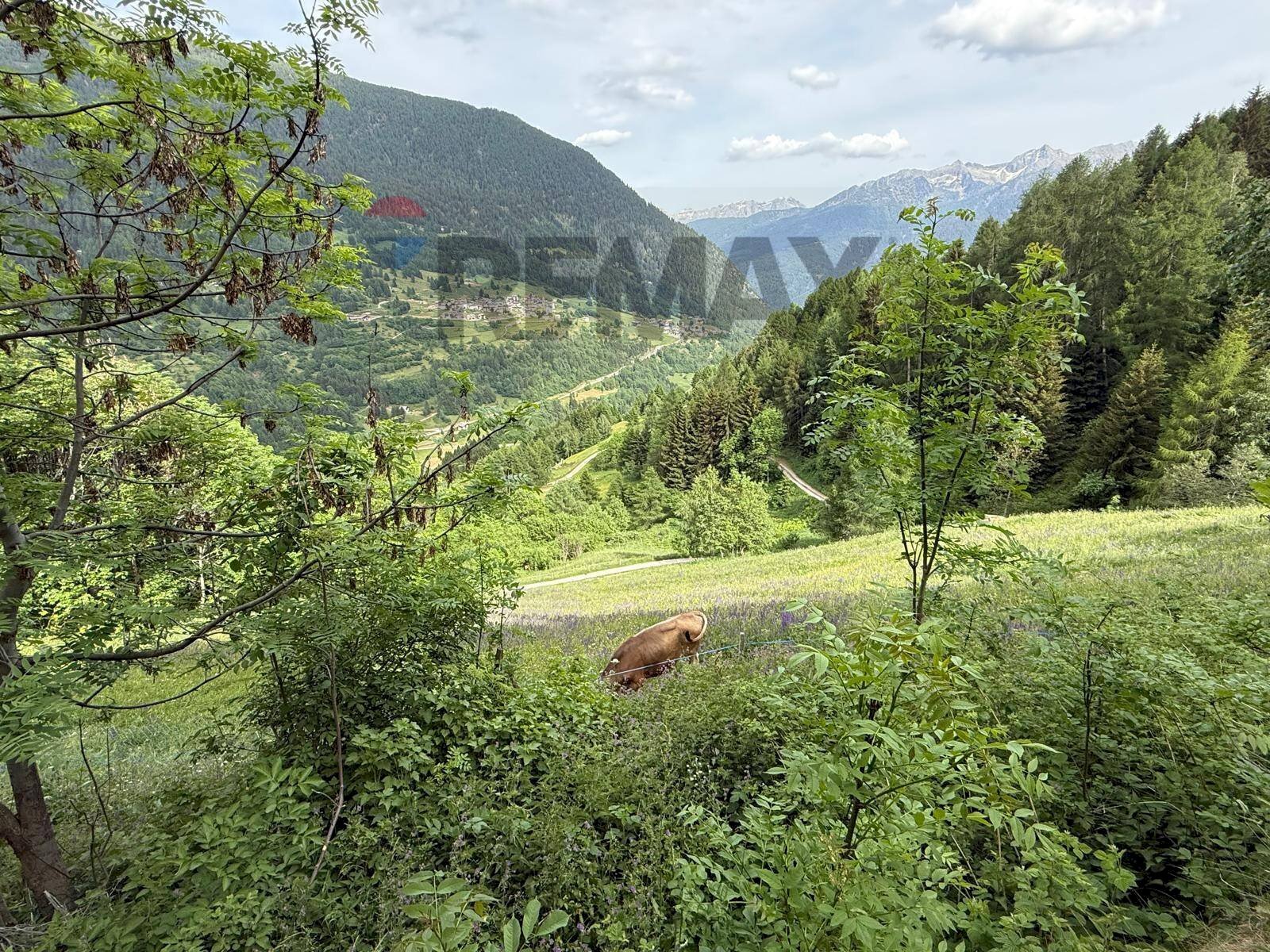 Vista delle montagne - Rustic val Comasine
1, Peio - photo 3
