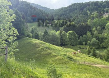 Vista delle montagne - Baita Peio - photo 11