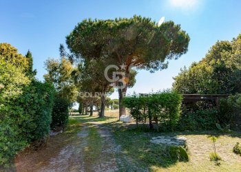 Foto 7 - Rustico Strada Vicinale dei Pinalti, Orbetello - foto 7