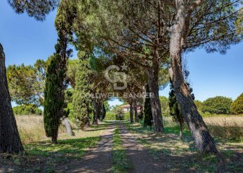 Foto 40 - Rustico Strada Vicinale dei Pinalti, Orbetello - foto 40