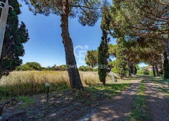 Foto 41 - Rustico Strada Vicinale dei Pinalti, Orbetello - foto 41