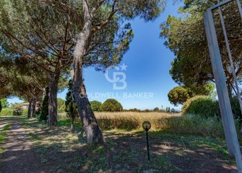 Foto 42 - Rustico Strada Vicinale dei Pinalti, Orbetello - foto 42