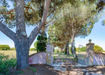 Foto 43 - Rustico Strada Vicinale dei Pinalti, Orbetello - foto 43