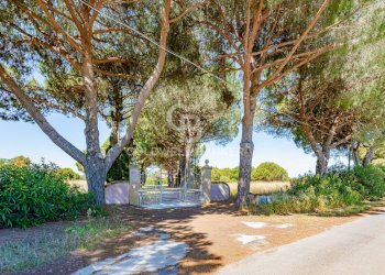 Foto 44 - Rustico Strada Vicinale dei Pinalti, Orbetello - foto 44