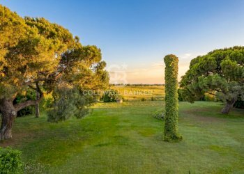 Foto 45 - Rustico Strada Vicinale dei Pinalti, Orbetello - foto 45