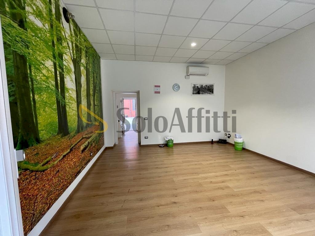 Locale Commerciale Gallarate - foto 1