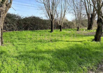 giardino (5) - Rustico Strada Fossato Novo Pedemonta 3, Ostiglia - foto 5