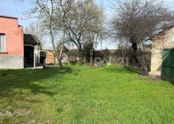 giardino (6) - Rustico Strada Fossato Novo Pedemonta 3, Ostiglia - foto 6