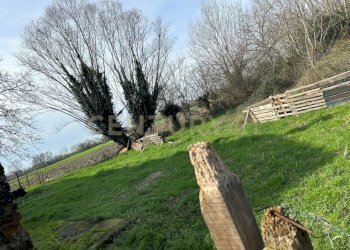giardino (7) - Rustico Strada Fossato Novo Pedemonta 3, Ostiglia - foto 7