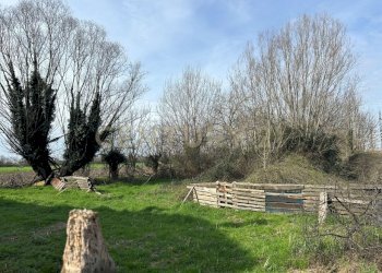 giardino (9) - Rustico Strada Fossato Novo Pedemonta 3, Ostiglia - foto 9