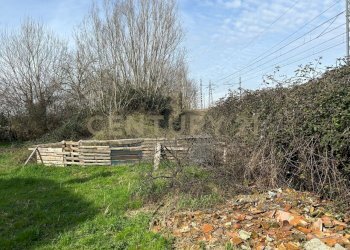 giardino (10) - Rustico Strada Fossato Novo Pedemonta 3, Ostiglia - foto 10