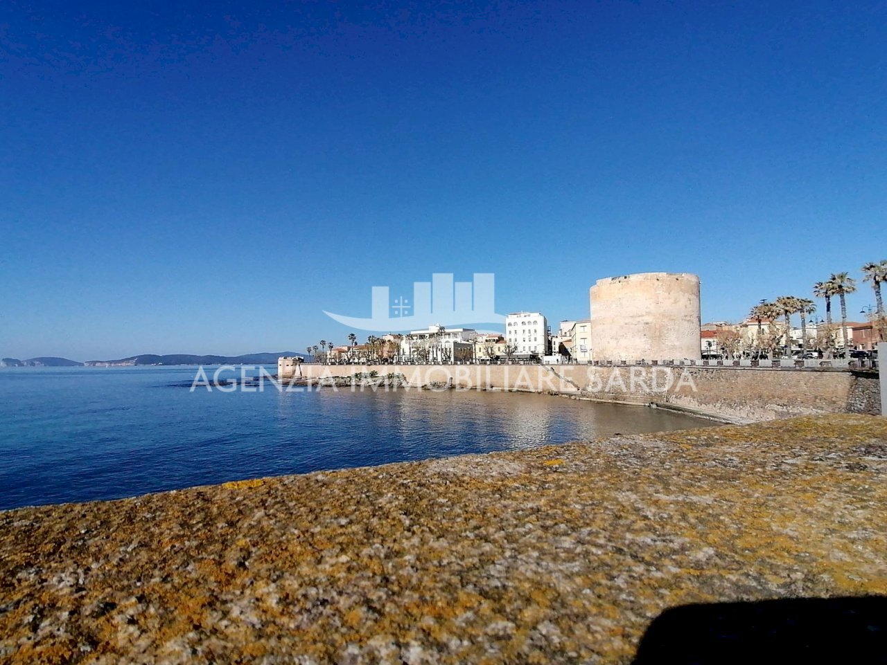 WhatsApp Image 2025-12-16 at 14.46.21 (3) - Restaurant Alghero - photo 3