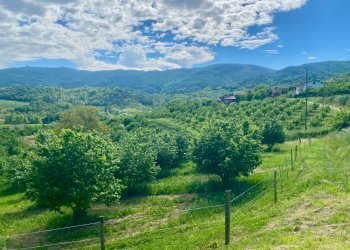21.jpg - Casale Frazione Robertiero 14, Gorzegno - foto 28