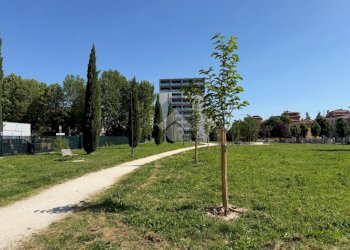 Appartamento Via Bartolomeo Passarotti, Bologna (zona Arcoveggio) - foto 16