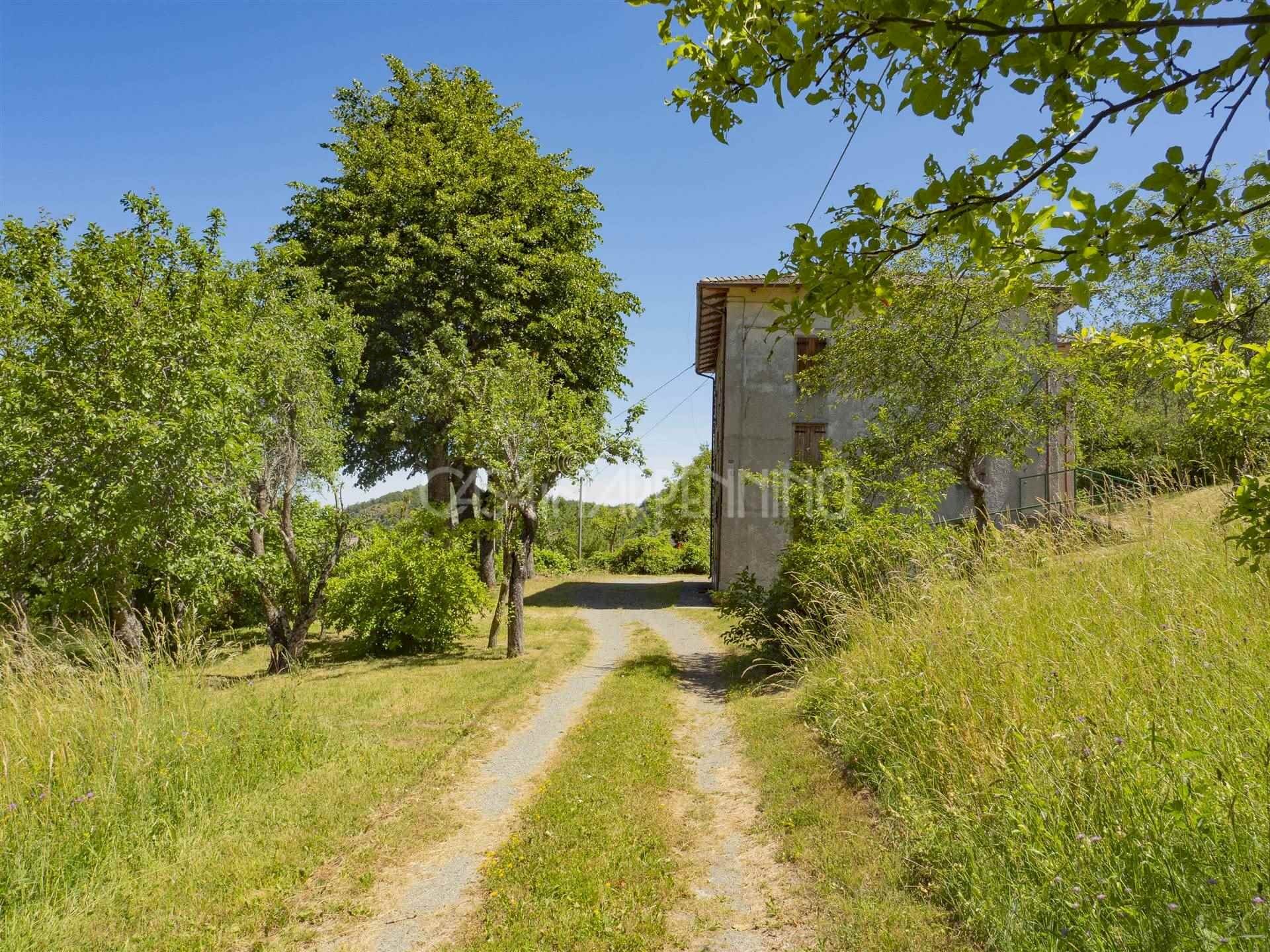 Rustico Palagano - foto 1