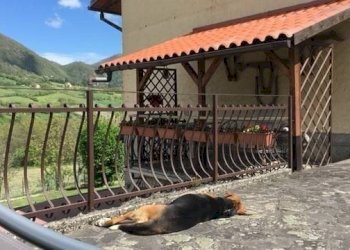 Villa Bifamiliare Via Ca' di Rigone, 26, Castel d'Aiano - foto 32