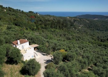 Vista delle montagne - Villa Via Fontanelle
 
snc, Vico del Gargano - foto 43