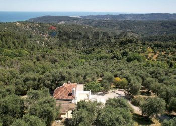 Vista delle montagne - Villa Via Fontanelle
 
snc, Vico del Gargano - foto 44