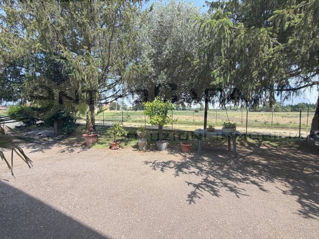 Terreno - Appartamento San Lazzaro di Savena - foto 2