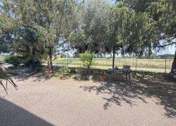Terreno - Appartamento San Lazzaro di Savena - foto 2