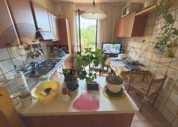 Cucina - Appartamento San Lazzaro di Savena - foto 30